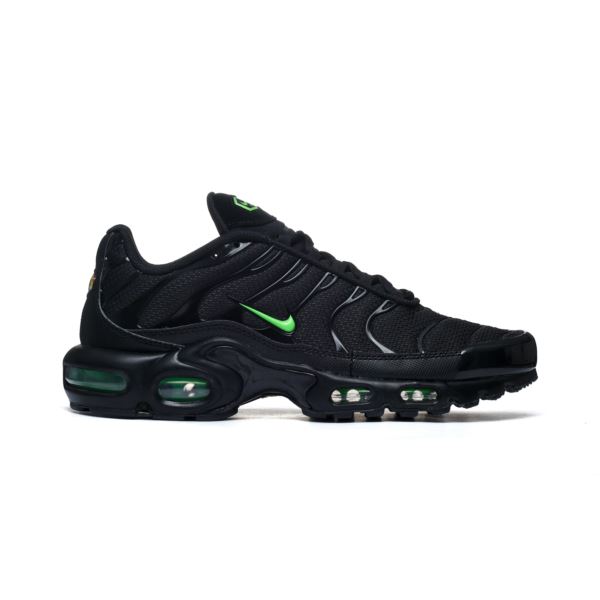 Nike AIR MAX PLUS DM0032-024 2