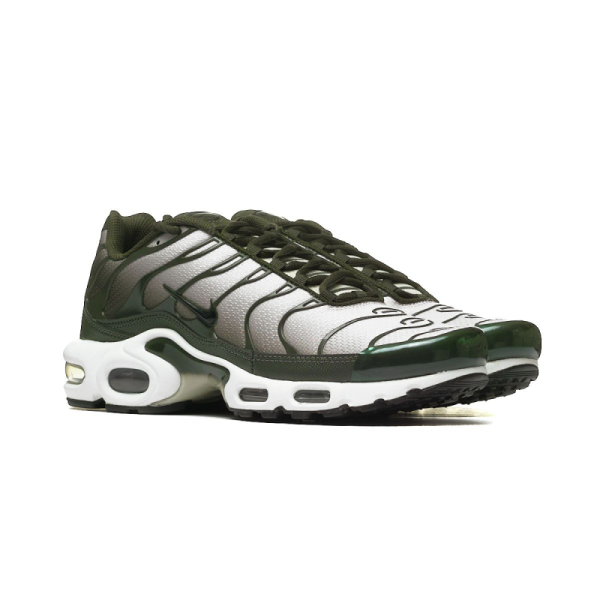 Nike AIR MAX PLUS DM0032-300