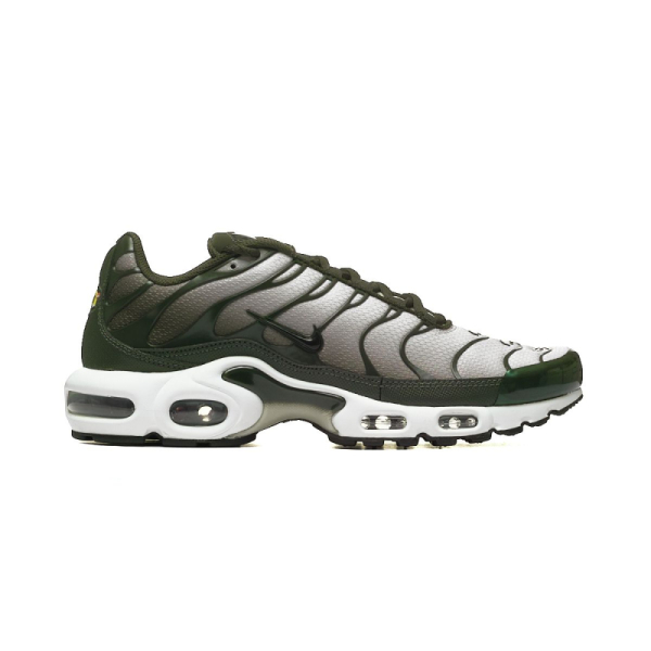 Nike AIR MAX PLUS DM0032-300 2