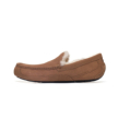 UGG ASCOT CHESTNUT M 1101110-CHE