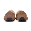 UGG ASCOT CHESTNUT M 1101110-CHE