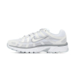 Nike WMNS P-6000 FV6603-101