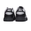 Nike DUNK LOW GS PRF