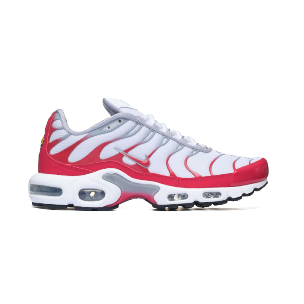 Nike Air Max Plus IF6224-101 2