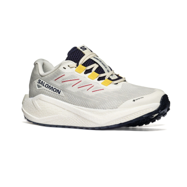 Salomon AERO BLAZE 3 GRVL GTX L47953200