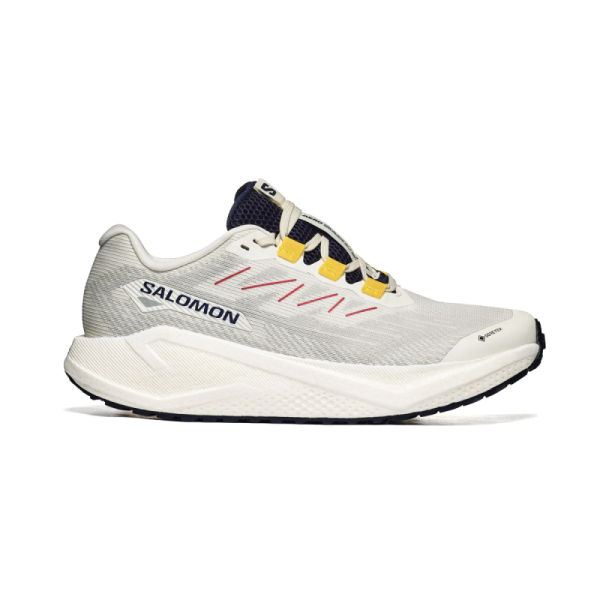 Salomon AERO BLAZE 3 GRVL GTX L47953200 2