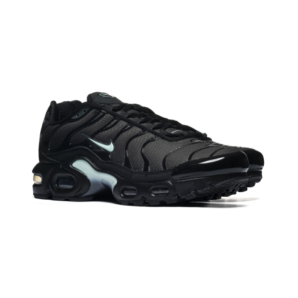 Nike AIR MAX PLUS GS MTDH IF6169-010