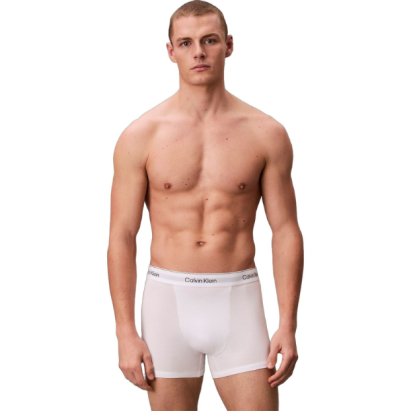 Calvin Klein RELAXED FIT TRUNK 3PK LV00NB4286-MP1 2