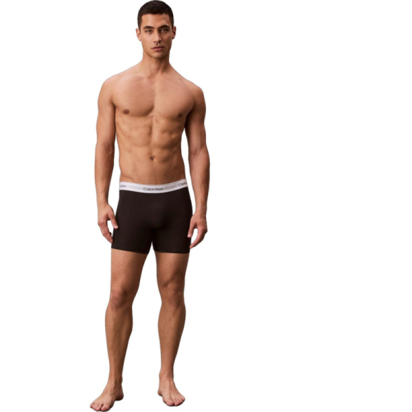 Calvin Klein Icon Cotton Stretch 3-Pack Boxer Brie LV00NB4394-UB1 2