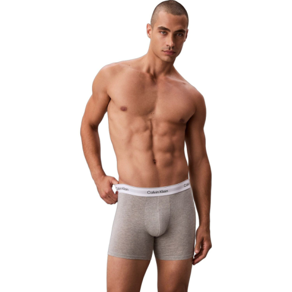 Calvin Klein Icon Cotton Stretch 3-Pack Boxer Brie LV00NB4394-MP1 2