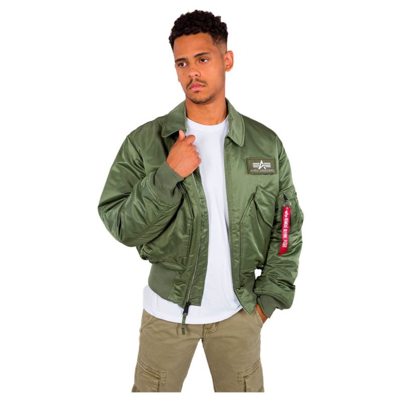 Alpha Industries CWU 45 100102-01