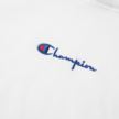 Champion Hooded Sweatshirt 112691-WW001