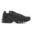 NIKE AIR MAX PLUS 604133-050