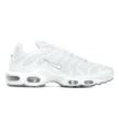 Nike Air Max Plus 604133-139