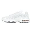 Nike Air Max Plus 604133-139