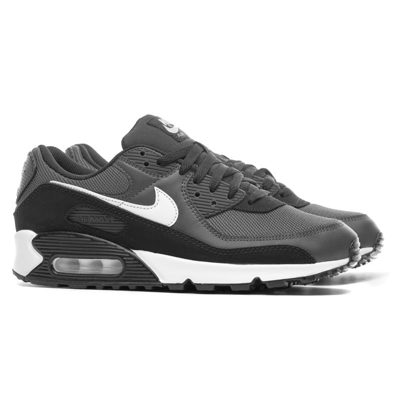 Nike AIR MAX 90 CN8490-002