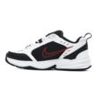 Nike AIR MONARCH IV 415445-101