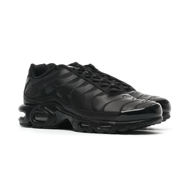 Nike AIR MAX PLUS AJ2029-001