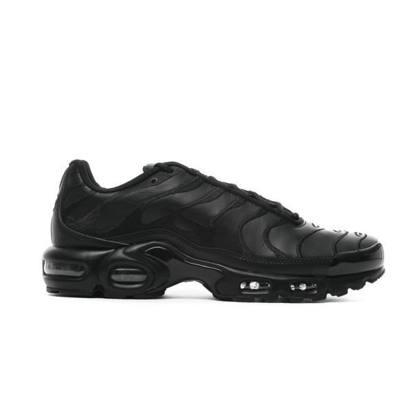 Nike AIR MAX PLUS AJ2029-001 2