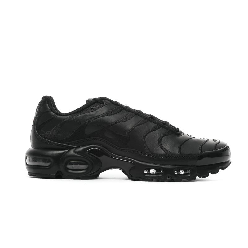 Nike AIR MAX PLUS AJ2029-001 Nike AIR MAX PLUS AJ2029-001