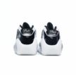 Nike AIR ZOOM FLIGHT 95 DV0820-100