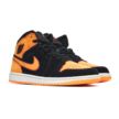 Nike Air Jordan 1 Mid SE FJ4923-008