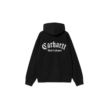 Carhartt Hooded Onyx Script Sweatshirt I032865-0D2