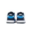 Nike DUNK LOW GS HF0031-400