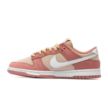 Nike DUNK LOW RETRO PRM FB8895-601