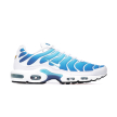 Nike Air Max Plus 852630-411