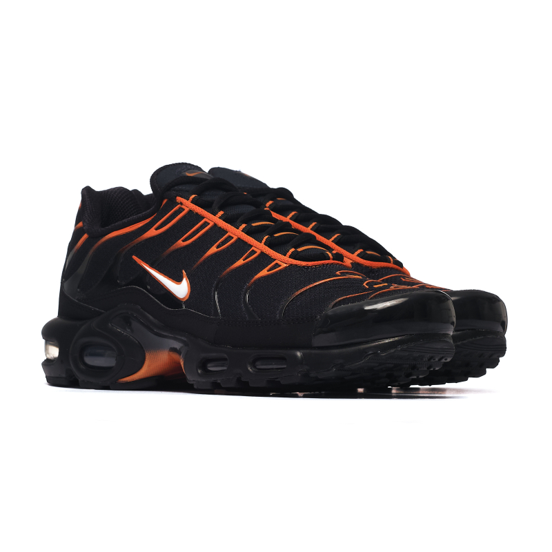 Nike AIR MAX PLUS FN6949-400