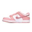 Nike DUNK LOW GS DO6485-600