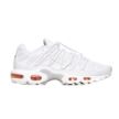 Nike AIR MAX PLUS UTILITY FJ4232-100