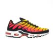 Nike AIR MAX PLUS HF0552-001