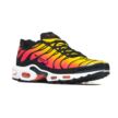 Nike AIR MAX PLUS HF0552-001