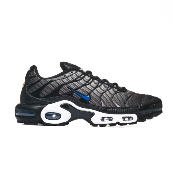 Nike AIR MAX PLUS HM0709-100 2