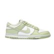 Nike W Dunk Low HF5384-300