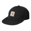 Carhartt Clarton Cap I034049-89