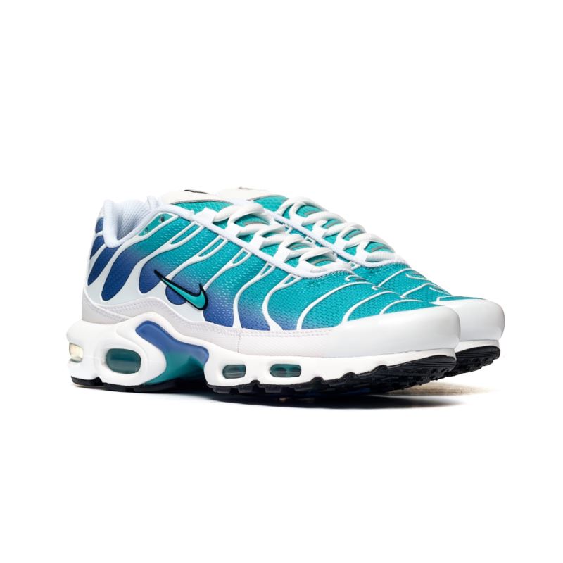 Nike Air Max Plus DM0032-102