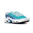 Nike Air Max Plus DM0032-102