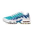 Nike Air Max Plus DM0032-102