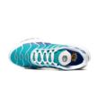 Nike Air Max Plus DM0032-102