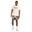 Nike M NK DF TEE OC 2 MENS HJ3352-133