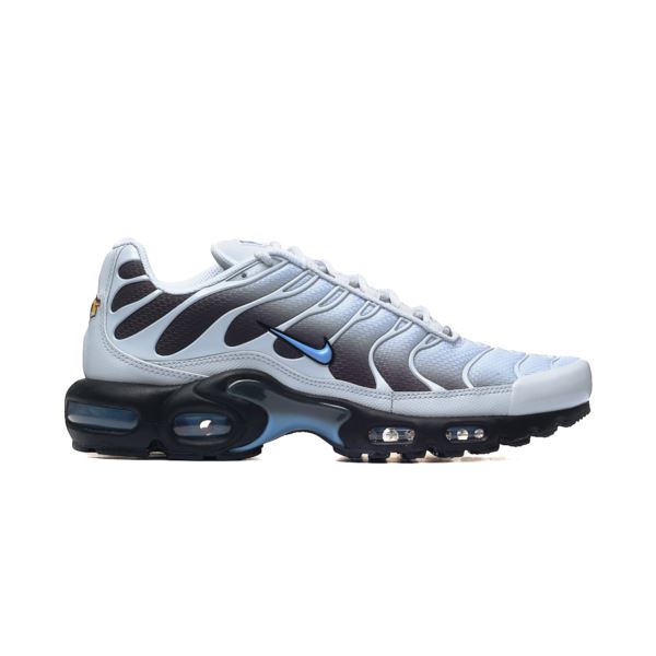Nike AIR MAX PLUS DM0032-015 2