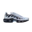 Nike AIR MAX PLUS DM0032-015