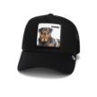 Goorin Bros The Guard Dog 101-1767-EBO