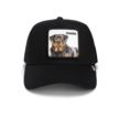 Goorin Bros The Guard Dog 101-1767-EBO