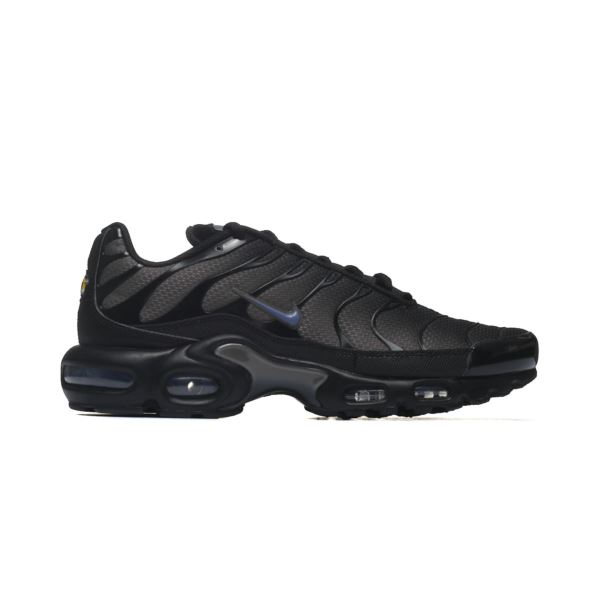 Nike AIR MAX PLUS DM0032-018 2