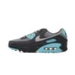 Nike AIR MAX 90 DM0029-013
