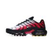 Nike AIR MAX PLUS DM0032-017